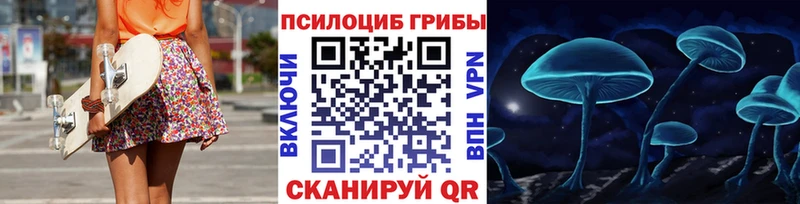 Галлюциногенные грибы Psilocybine cubensis  кракен ССЫЛКА  Алейск 